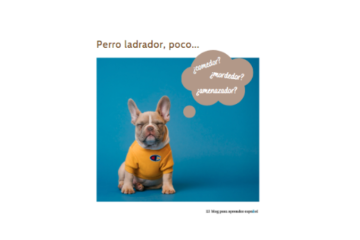 perro ladrador, poco mordedor_significado