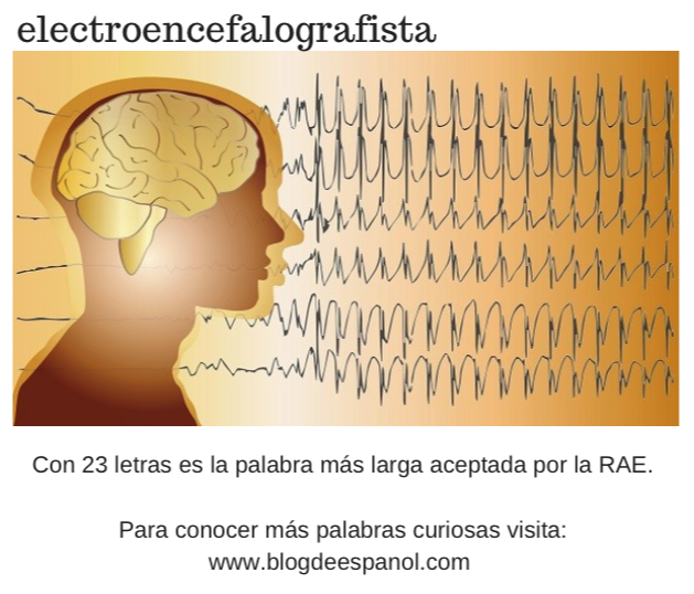 palabras curiosas en español